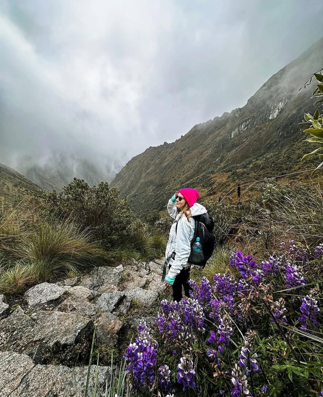 Flora andina en el Camino Inca