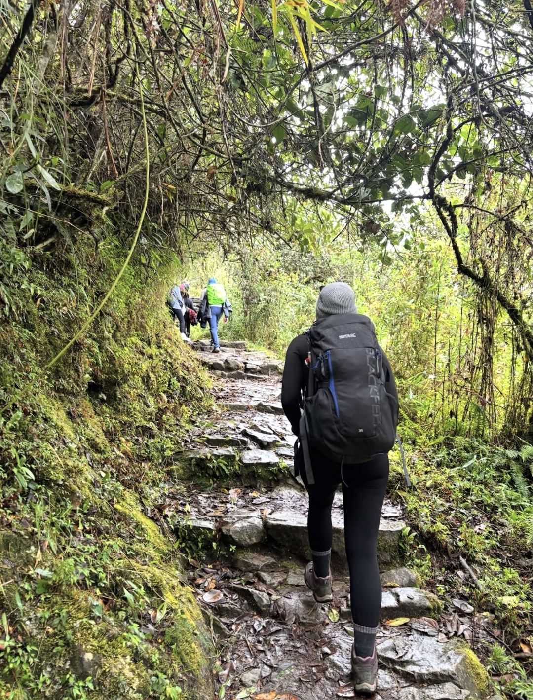Selva nublada en el Camino Inca