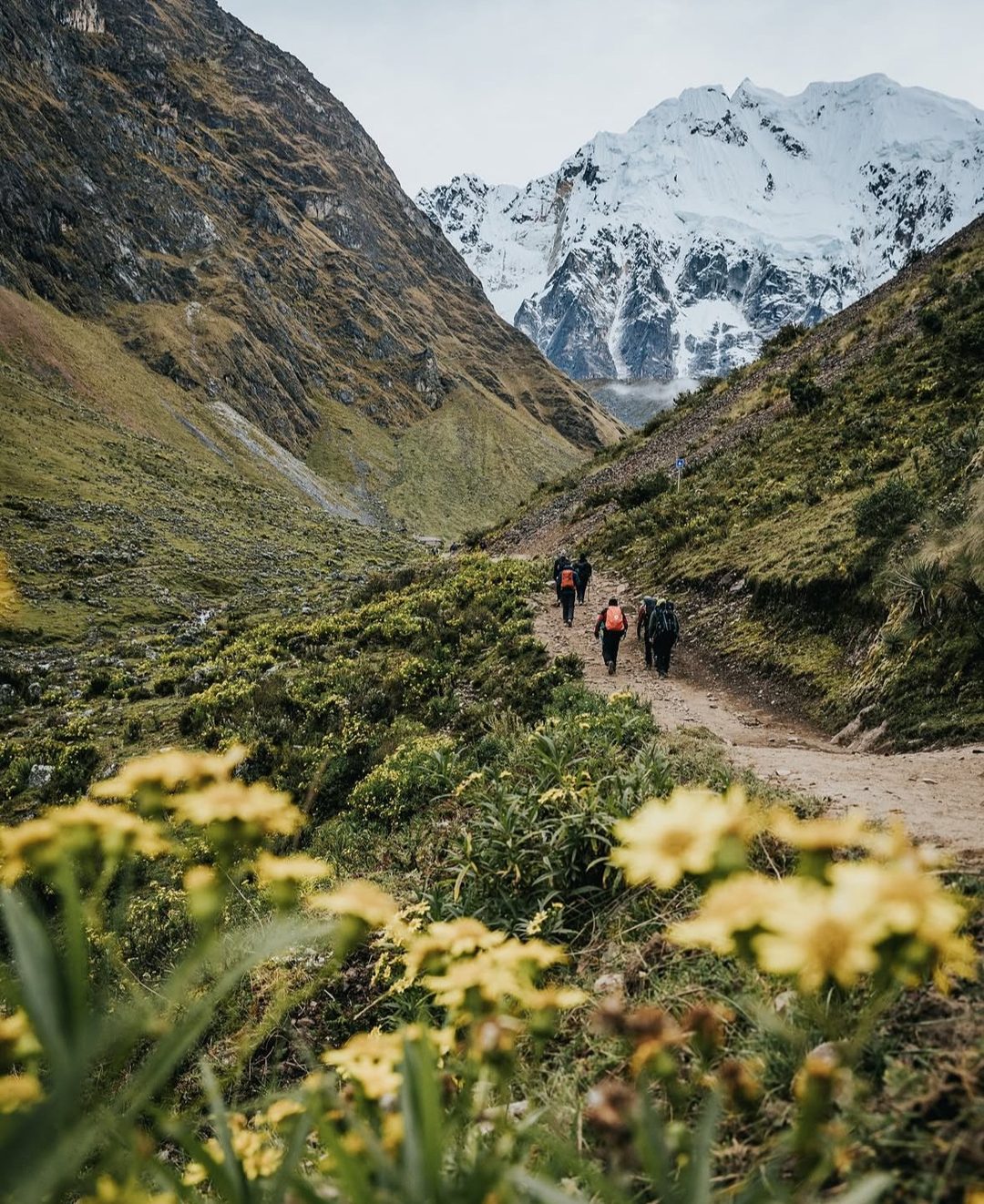 Salkantay Trek 5 días — Nevado Salkantay a Machu Picchu | Andean Explore
