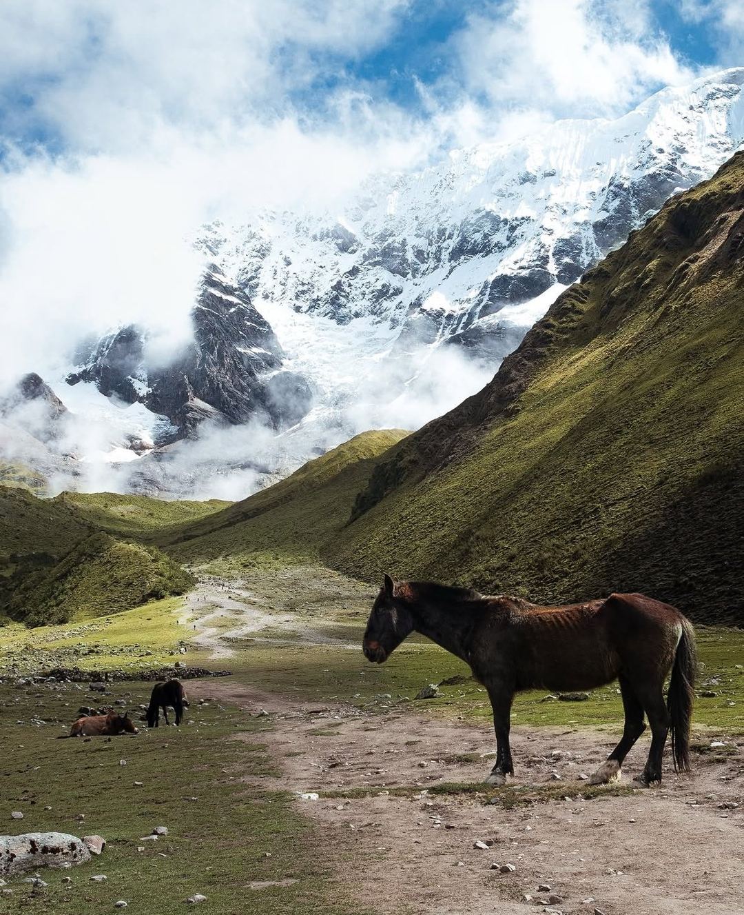 Caballos en el valle del Salkantay